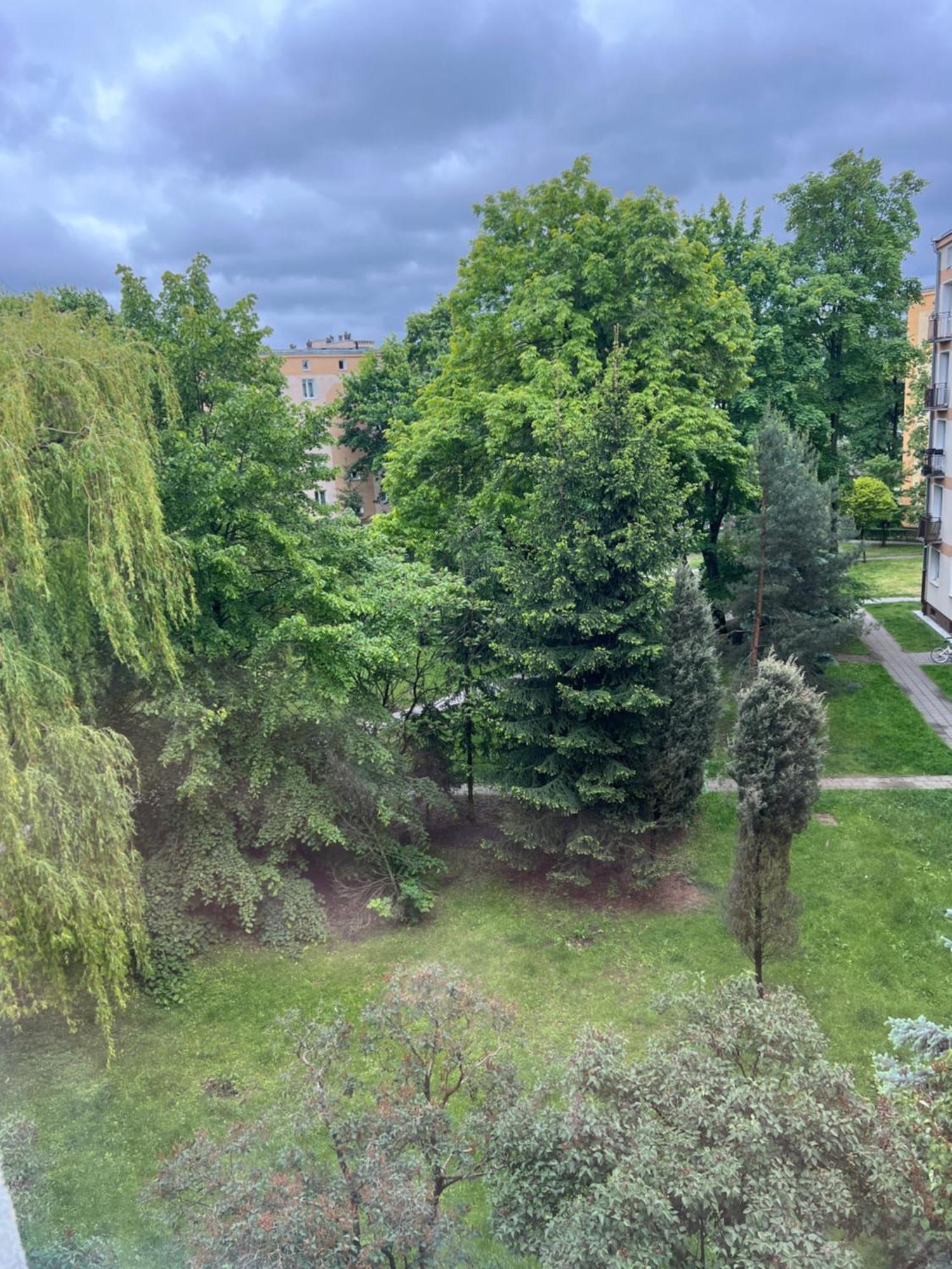Zielona Ochota Apartment Warsawa Bagian luar foto